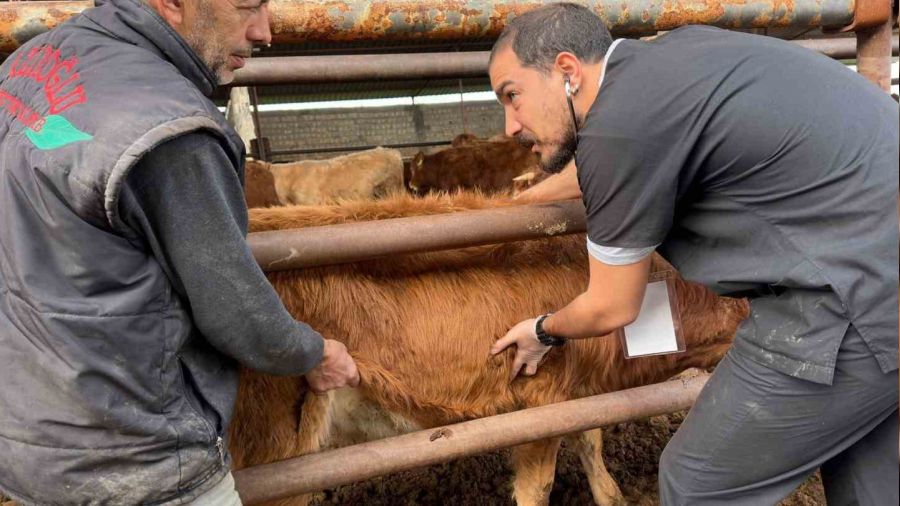 DE'l uzmanlardan deprem blgesinde ap virs uyarlar