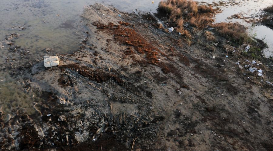 Doğa harikasıydı şimdi mikrop saçıyor