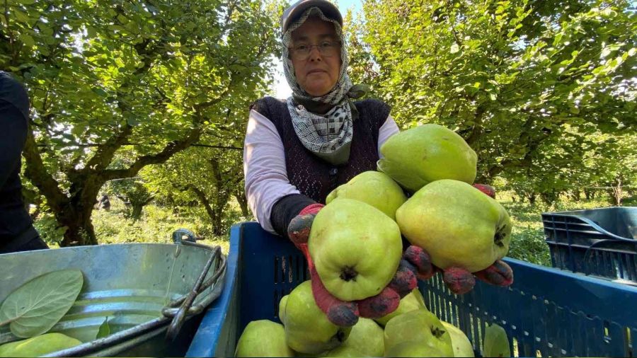 Dünyada rakibi yok