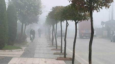 Düzce'de görüş mesafesi 10 metreye kadar düştü