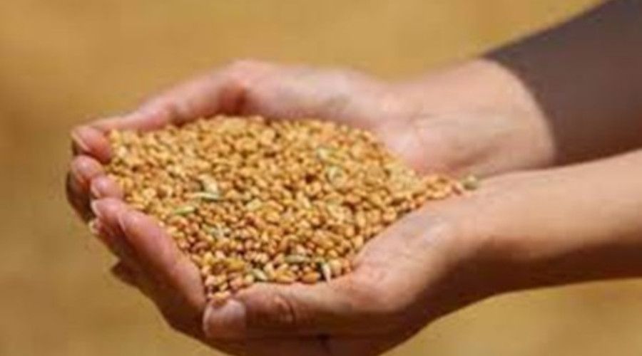 Edirne'de bu�day 4 lira 079 kuru�tan sat�ld�