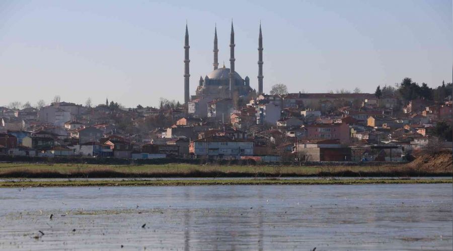 Edirne'de suyla kapl� tarlalar buz tuttu