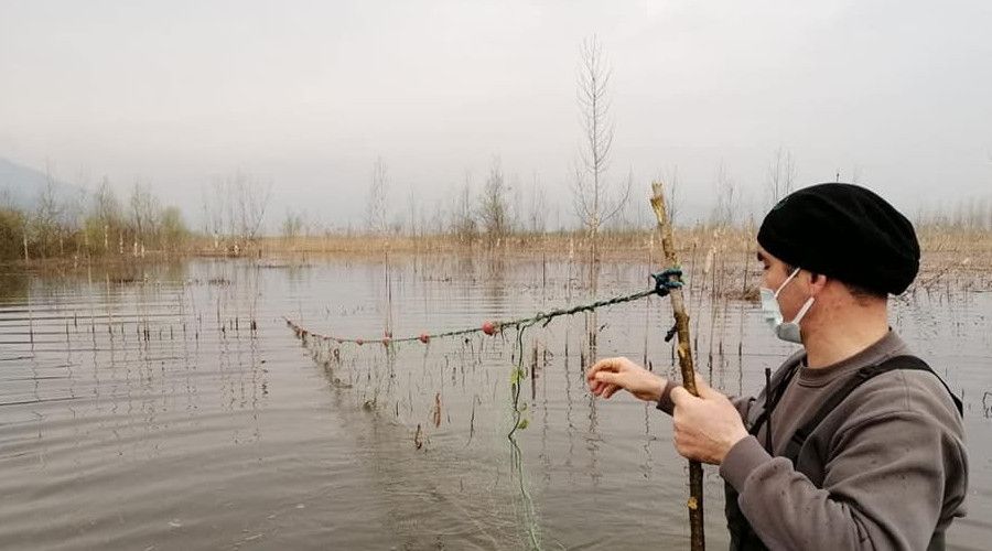 Efteni Gölü'nde 800 metre ağ yakalandı