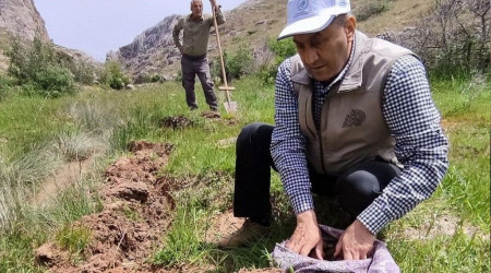 Elazığ'da salep soğanı toplayan 13 kişiye 1,5 milyon lira ceza