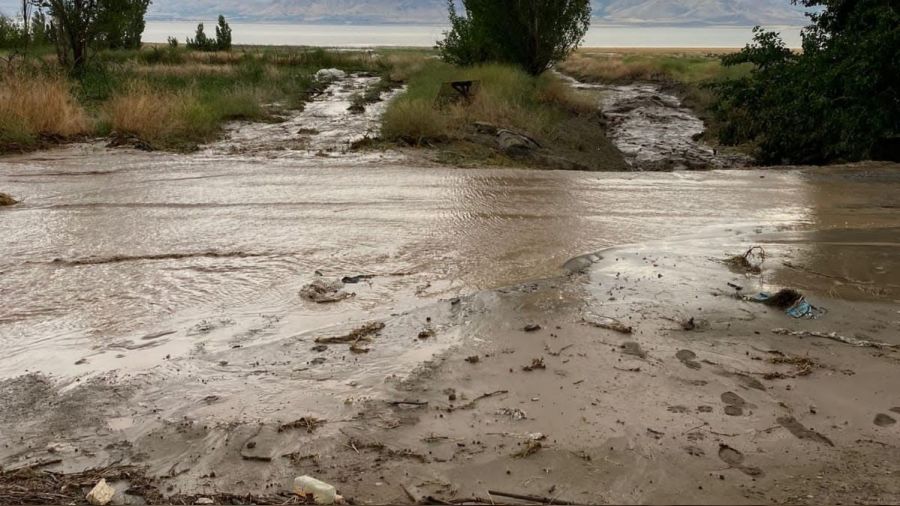 Elaz��'da tar�m arazilerini sel vurdu