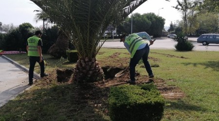 Engellileri mutlu eden çalışma