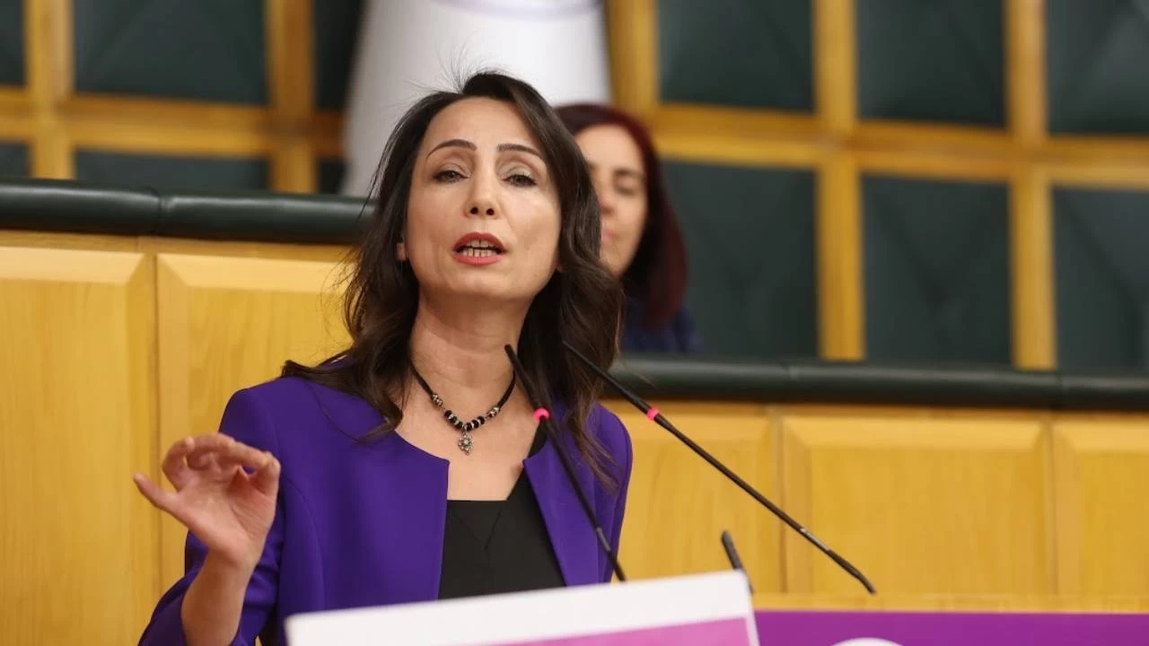 'Erdoğan, anayasayı canı istediğinde oynanacak bir oyuncak zannediyor'