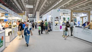 'Erken hasatta zeytinyağı daha acı ve yakıcı olabilir'
