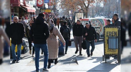 Erzincan, son yılların en sıcak kış mevsimini geçiriyor