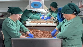 Fndk ihracat 2.5 milyar dolar at