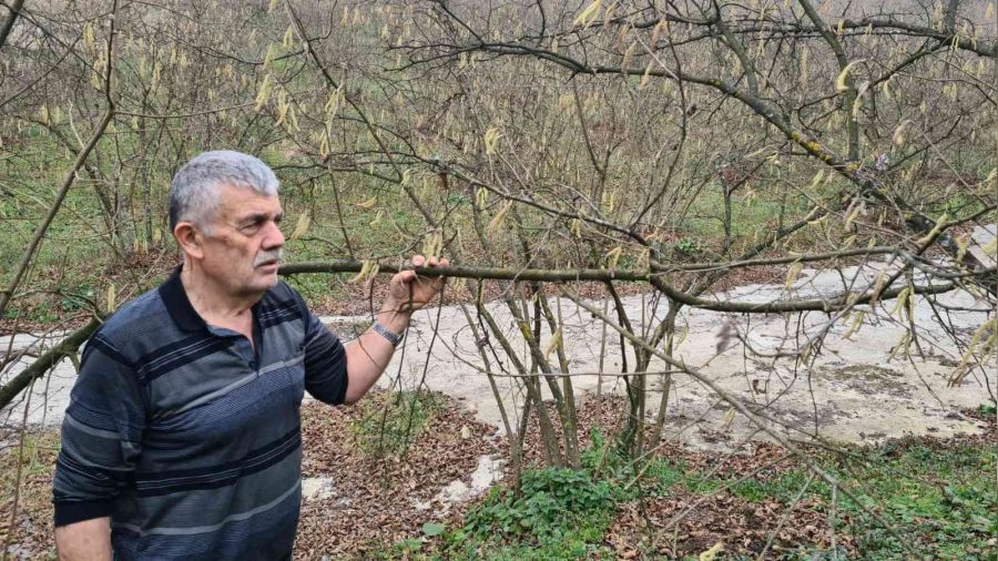 F�nd�k �reticisi d�rt g�zle kar ya���� bekliyor