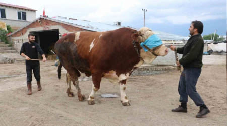 Fiyat dudak uuklatyor