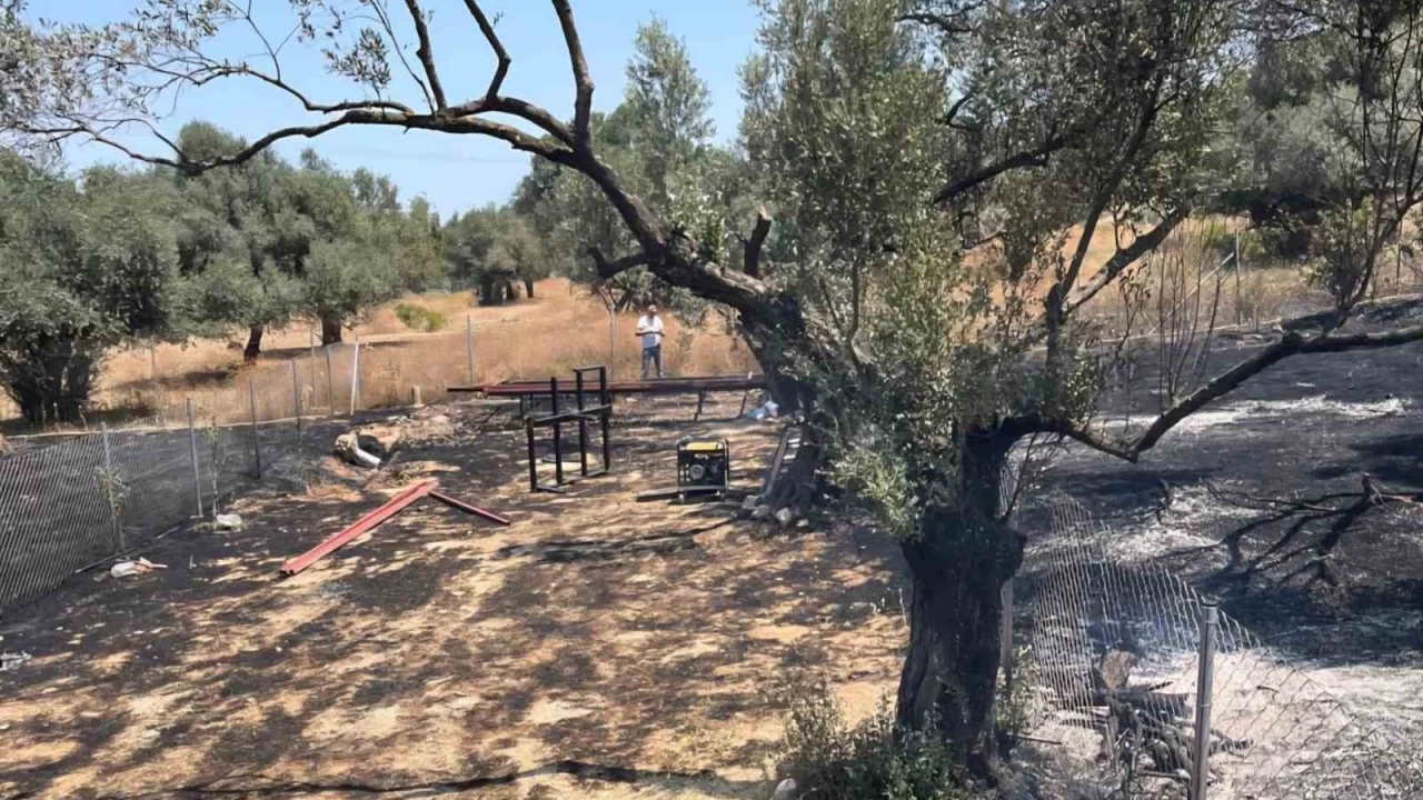 Foça'da ormanlık alanda çıkan yangına 4 gözaltı