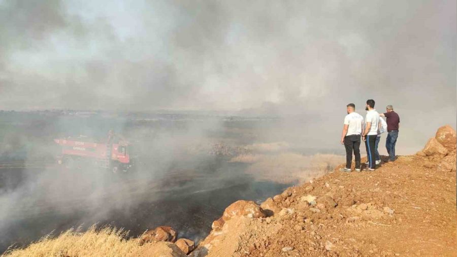 Gaziantep'te 7 bin d�n�m bu�day tarlas� yand�