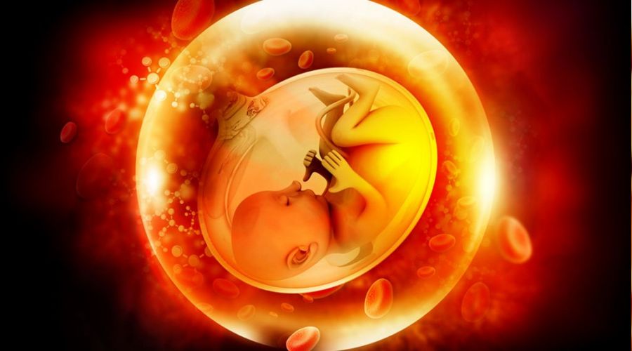 Gebelikte protein t�ketiminin �nemi