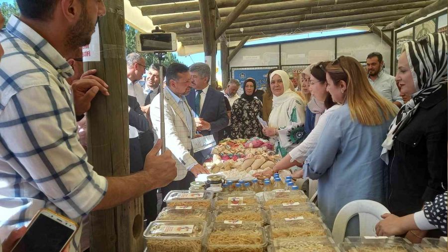 Gediz'de Tarhana Festivali