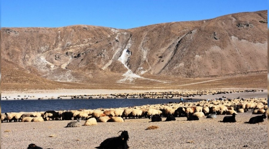 G��erlerin zorlu d�n�� yolculu�u