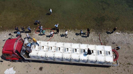 Göl ve göletlere 2,5 milyon sazan bırakıldı