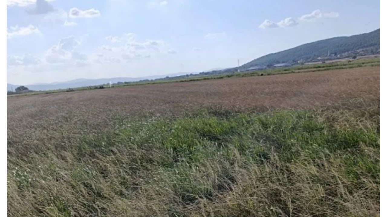 Gönen'de sulama krizi: Çiftçi saatlik suya mahkum