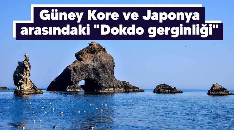 Gney Kore ve Japonya arasndaki "Dokdo gerginlii"