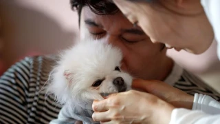 G�ney Kore'de her 10 evden 3'�nde evcil hayvan besleniyor