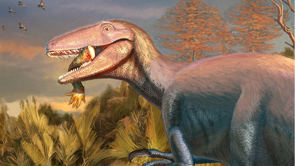 �G�neyin dev y�rt�c�s�� Arjantin'de bulundu