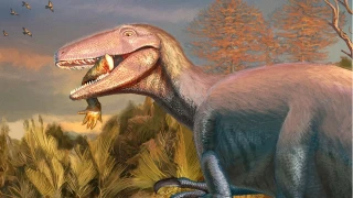 �G�neyin dev y�rt�c�s�� Arjantin'de bulundu