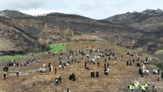 Grsu tek yrek oldu, binlerce fidanla doldu