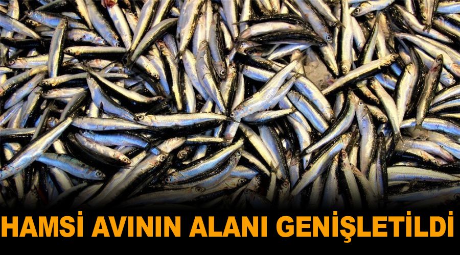 Hamsi avının alanı genişletildi