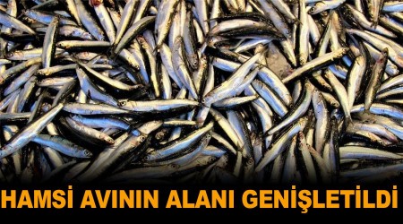 Hamsi avının alanı genişletildi