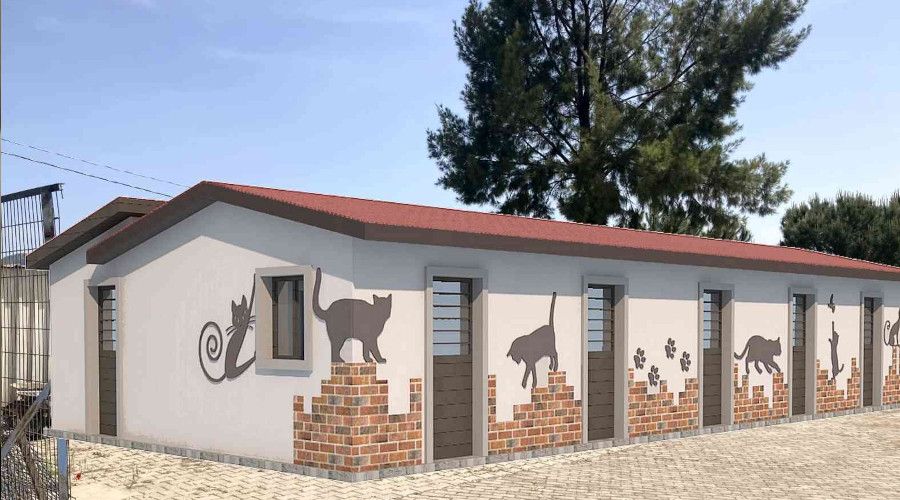 Hasta kedilere �zel tedavi �nitesi