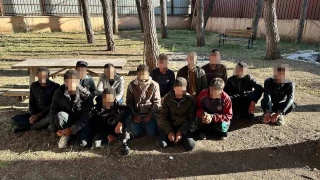 Hatay'da 65 kaak gmen yakaland