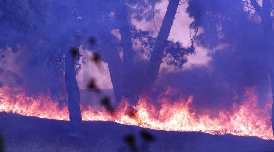 Hatay'daki yang�n farkl� noktalara s��rad�