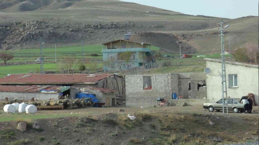 Hayvan sulatma meselesi kanlı bitti