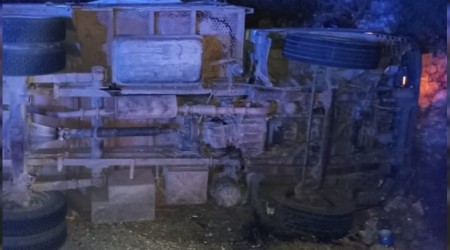 Hayvan yüklü kamyon devrildi