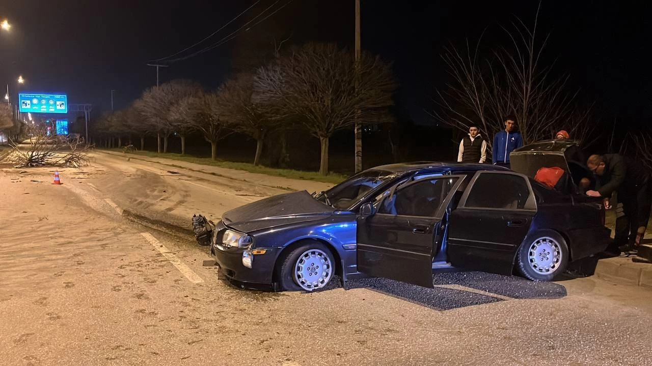 İki ağacı kökünden söktü, burnu bile kanamadı