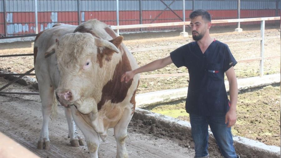�kinci el ara� fiyat�na al�c�s�n� bekliyor 
