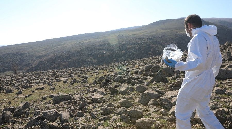 �lk defa hayvanlara kuduz a��s� k�rsala b�rak�ld�