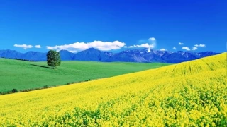 İmam Cevad'ın (a.s.) ilmî metodu