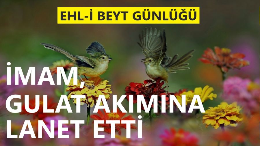 İmam, Gulat akımına lanet etti