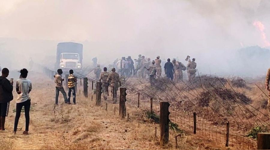 �ngiliz askerleri 5 fili yakt�