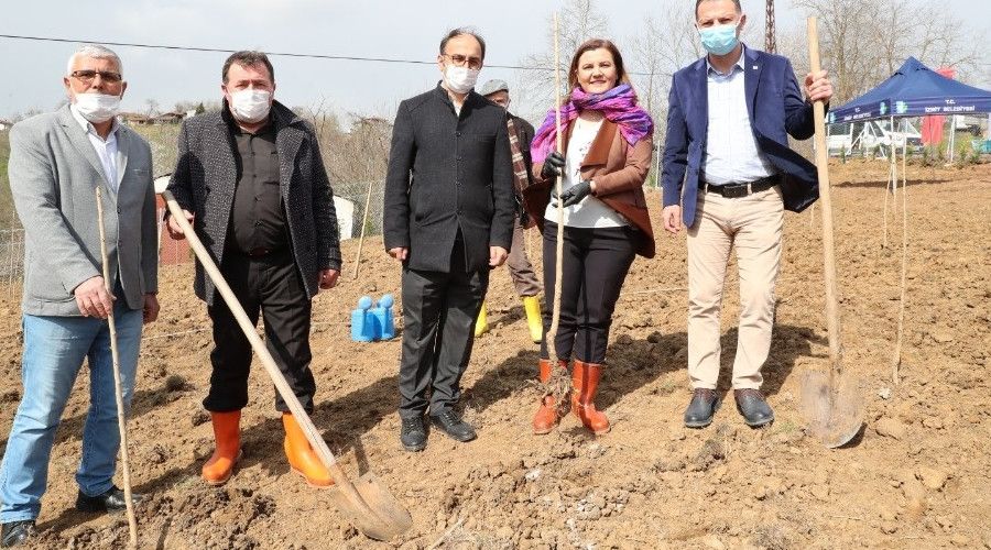 İpek böcekçiliğini başlatacak fidanlar toprakla buluştu