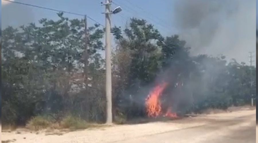 Isparta'da ağaçlara sıçrayan yangın korkuttu