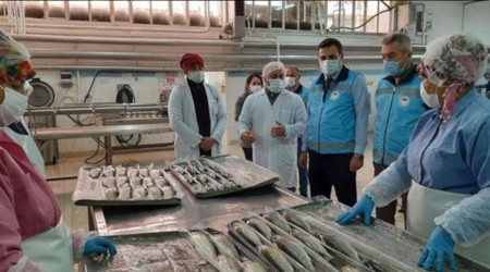 Isparta'da su ürünleri av yasağına uymayan 2 işletmeye ceza
