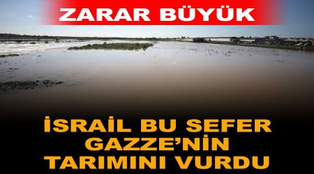 İsrail bu sefer Gazze'nin tarımını vurdu