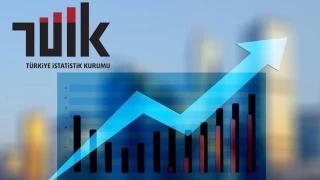 sizlik oran geen yl en yksek Hakkari'de, en dk Sinop'ta belirlendi