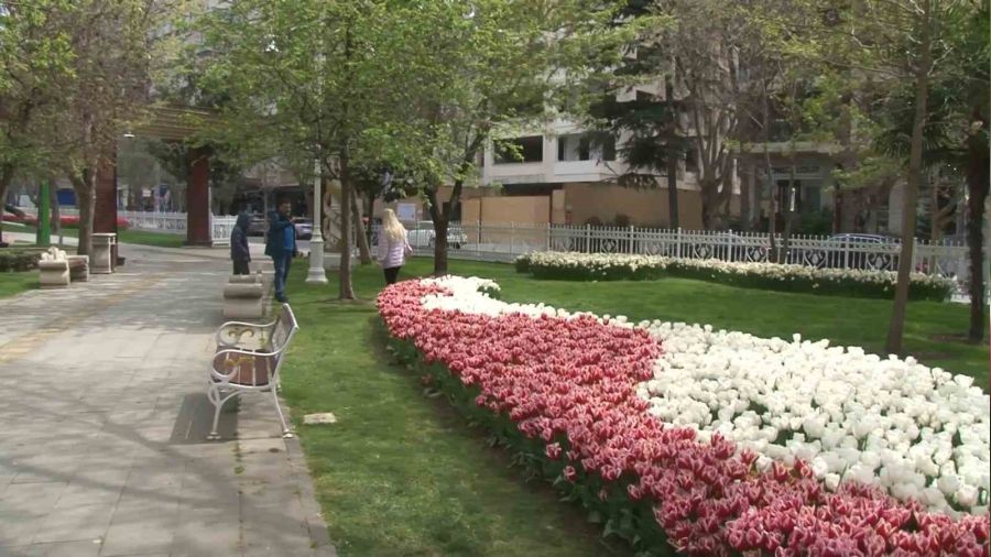 İstanbul'da lale şöleni: 70 çeşit lale, 2 milyon soğan dikildi