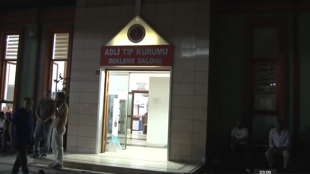 �stanbul'da sokak k�pekleri can ald�