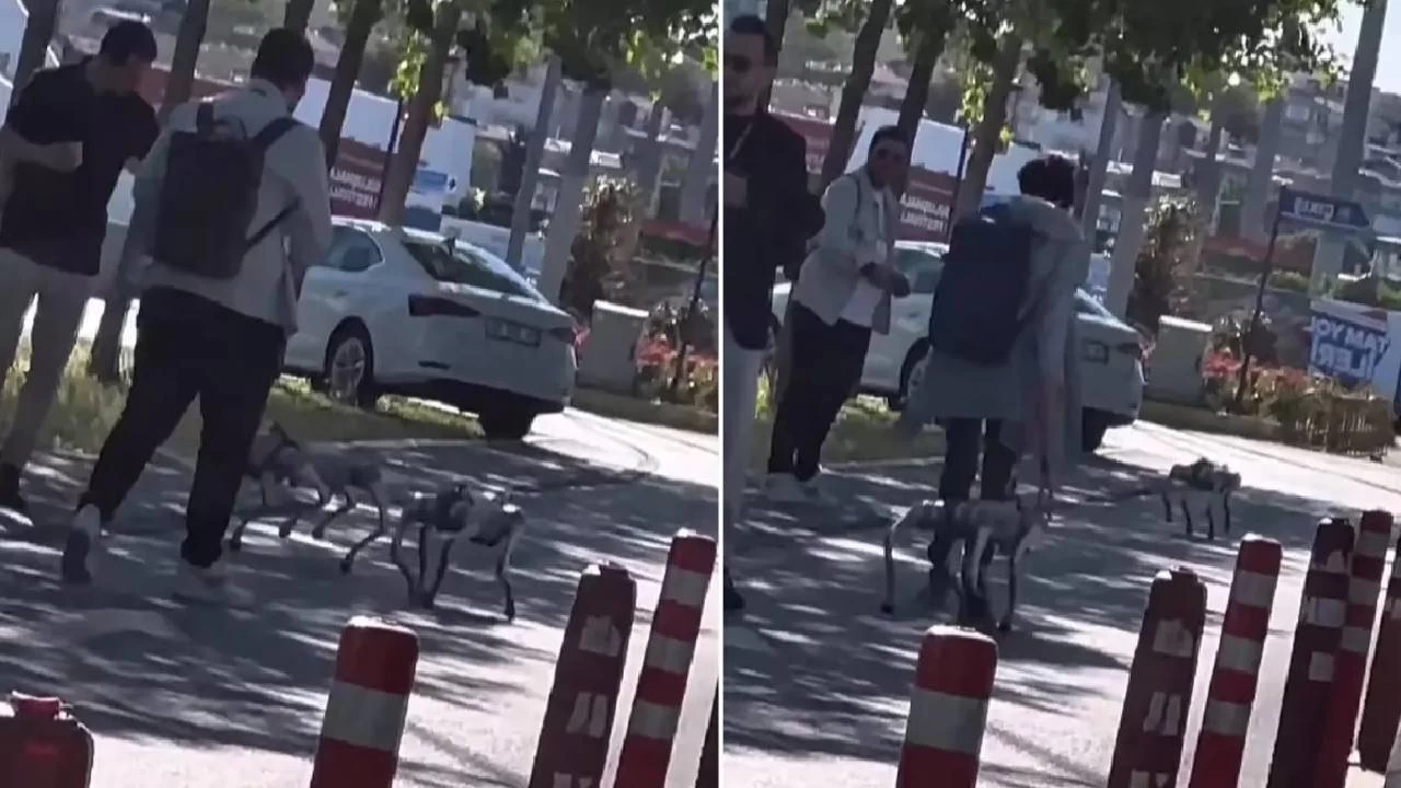 İstanbul'da tasma takılan robot köpek ilgi çekti