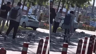 stanbul'da tasma taklan robot kpek ilgi ekti